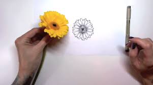 The tips of each petal is sort of flat and curvy. How To Draw Flowers A Step By Step Tutorial By Artists For Everyone Skillshare Blog