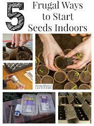 5 Frugal Ways To Start Seeds Indoors Start Seeds Indoors Indoor Vegetable Gardening Start Seeds