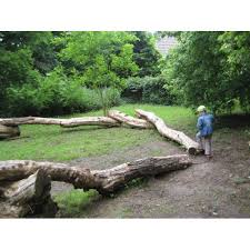 Bild 6 Zum Spielplatz Finkens Garten In Koln