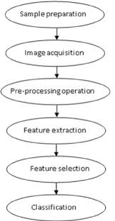 flowchart of wheat cultivars calassification process