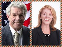 Primary 2020: County Law Director