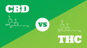 Cbd Vs Thc What Are The Main Differences Articles