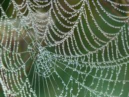 He got organic webs later in the comic series. New Artificial Spider Silk Stronger Than Steel And 98 Percent Water Innovation Smithsonian Magazine