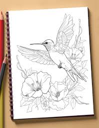Página para colorir de beija-flor para impressão de pássaro JPG Folha para  colorir para adultos de beija-flor Página para colorir de beija-flor JPG -  Etsy Portugal