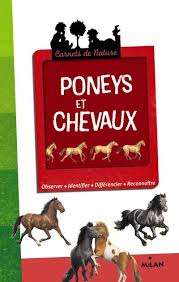 Ces calculs sont souvent compliqués et ne sont pas toujours accessibles pour un propriétaire non initié aux diverses rations possibles. Poneys Et Chevaux Ne Broche Gilles Delaborde Gilbert Houbre Achat Livre Fnac