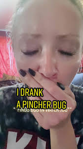 What Dose It Mean If You Find A Pincher Bug in Your House