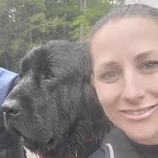 Newfoundland Puppies