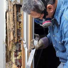Housecheck nsw building and pest inspection. Certified Pest Building Inspections From 395 Newcastle Lake Macquarie