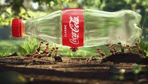 Its platform is designed to help brands connect. Coca Cola Oceania And Coca Cola Amatil Nz Reach Ambitious Recycled Plastic Goal Supermarket News