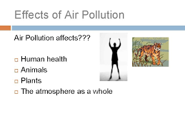 The impact of air pollution on animals is more or less similar to that on man. Lecture 5 1522020 Pollution Dr Muthana A Alshemeri
