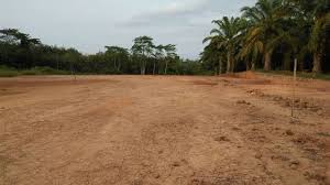 episod185 hari yang dijanjikan sudah tiba. Maria Firdaus