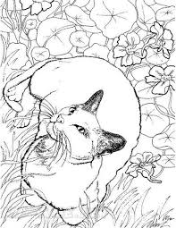 Download this adorable dog printable to delight your child. Realistic Cats Coloring Book Page