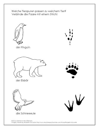 Am augenfälligsten sind solche #tierspuren im neuschnee. Tierspuren Activity Free Download German In The Afternoon Activities Activities Learn German German