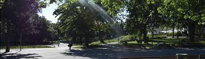 But i think i would come again because of the trees and calm park atmosphere. Resselpark