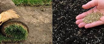 A landscaper wants to put down 2 of topsoil and fescue sod. Laying Sod Vs Planting Seeds