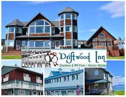 Image result for Light Driftwood 1993 Town and Country