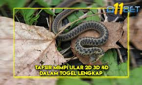 Tafsir Mimpi Ular 2d 3d 4d Dalam Togel Lengkap
