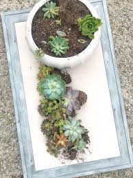 Terracotta pots are among the best pots for succulents when living in an area with a hot and humid the plastic pots are highly accessible. How To Plant Succulents In A Pot The Right Way