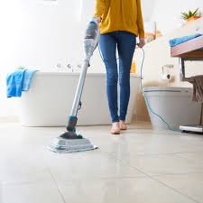 best steam cleaners  the top steam