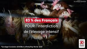 Élevage intensif : pour les Français... - 30 Millions d'Amis (Officiel) |  Facebook
