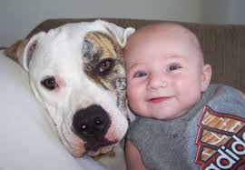 babyandpup
