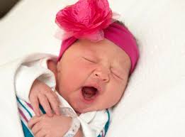 Susan Knott Photography