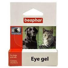 kedi bakim ve saglik panosundaki pin