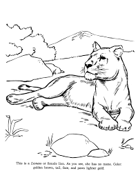 The simple cartoonish coloring page is for kids while the realistic picture ones are for adults. Lioness Coloring Pages Print This Page Go To The Next Page Animal Drawings Zoo Coloring Pages Animal Coloring Pages