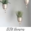 See more ideas about aluminum can flowers, tin can flowers, tin can art. 1