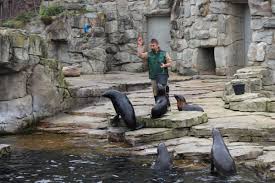 The frankfurt zoological garden is the zoo of frankfurt, germany. Zoo Frankfurt Ein Erlebnis Fur Die Ganze Familie Frankfurt Tipp