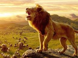 You are watching the movie the lion king produced in usa belongs in category animation, adventure, drama, family, musical with duration 88 min , broadcast at 123movies.la,director by roger allers,lion cub and future king simba searches for his identity. The Lion King Box Office Collection Week 1 Disney S Live Action Remake Sees An Excellent First Week English Movie News Times Of India