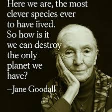 Pioneering zoologist fights for the planet's future