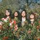 La Luz with special guest Color Green — Ardenland