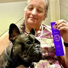 Congratulations to club member Bridget Webb who had a fantastic Sunday in  Brooksville!!!! Bon Bon took Breed from the classes, she won a great gift  from our supported entry and she won