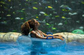 Image result for Centrostachys aquatica