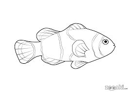 These free, printable summer coloring pages are a great activity the kids can do this summer when it. Fish Colouring Pages For Kids Zoonki Com