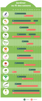 Voici tout ce qui peut être encore planté en juin. Quand Semer Et Recolter Dans Ma Serre De Jardin