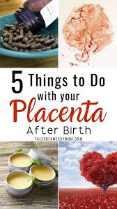 5 Fantastic Things To Do With Your Placenta Instead Of Toss It Tales Of A Messy Mom Placenta Recipes Placenta Natural Birth