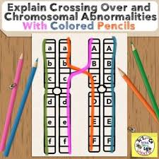 Explain Chromosomal Abnormalities And Crossing Over With Colored Pencils High School Biology Biology Classroom High School Biology Class