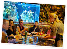 Maybe you would like to learn more about one of these? Rainforest Cafe Closed In San Francisco California Kid Friendly Restaurants Trekaroo