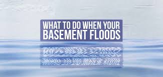First, it's important to differentiate between basement flooding and basement seepage. What To Do When Your Basement Floods Budget Dumpster
