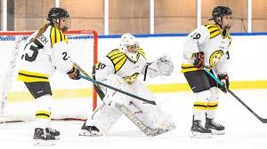 Learn all the games results, upcoming matches schedule at scores24.live! Sdhl Sonja Van Der Bliek Brynas If Women S Hockey Life