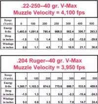 22 250 Bullet Drop Chart 223 Ballistics Chart