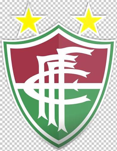 Fluminense de Feira Futebol Clube