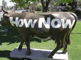 Cows Of Shepparton Victoria 27 Cow Parade Victoria Cow