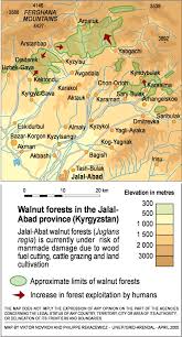 Kırgızistan'ın üçüncü büyük şehri olan celalabad'ın nüfusu yaklaşık 96 bin kişi. Walnut Forest In The Jalal Abad Province Kyrgyzstan Grid Arendal