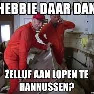 Information and translations of picobello in the most comprehensive dictionary definitions resource on the web. Virtual Trucking Company Picobello Bv Truckersmp