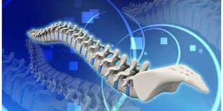 Proses pembentukan tulang disebut osifikasi. Mengenal Proses Pembentukan Tulang Yang Perlu Diketahui Dimulai Dari Masa Kehamilan Merdeka Com