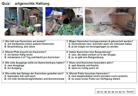We did not find results for: Downloads Fur Tierheime Zoohandlungen Etc