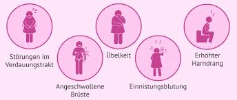 Die Embryoeinnistung In Die Gebarmutter Verlauf Und Symptome